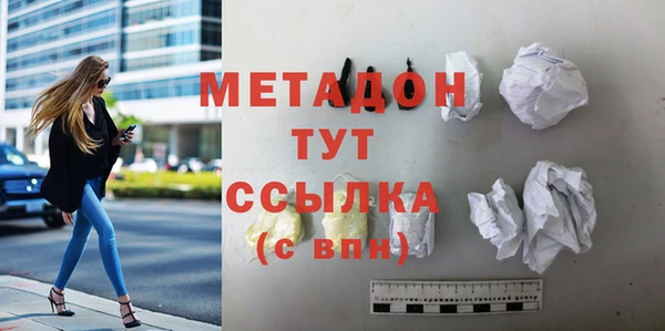 прущие грибы Рославль