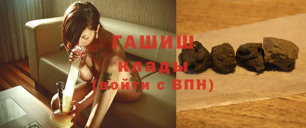 прущие грибы Саяногорск