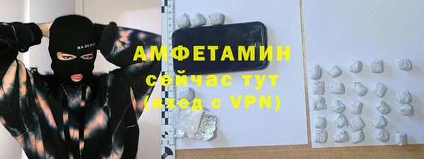 прущие грибы Рославль