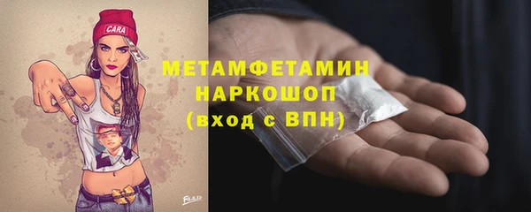 прущие грибы Рославль