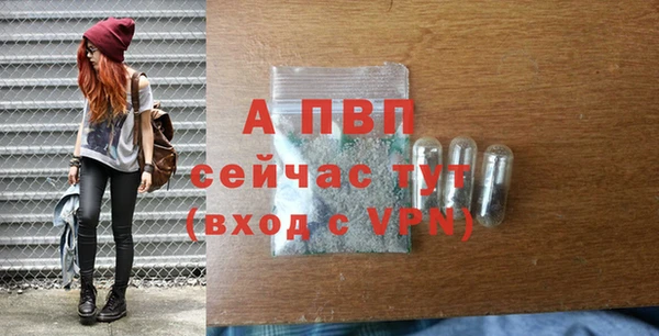 прущие грибы Рославль