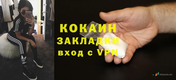 прущие грибы Рославль