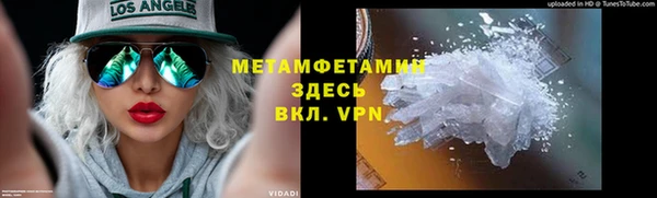 прущие грибы Саяногорск