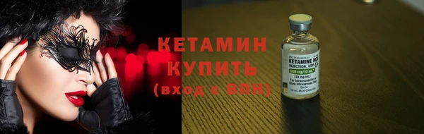 прущие грибы Рославль