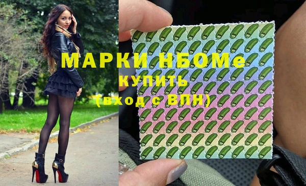 прущие грибы Саяногорск