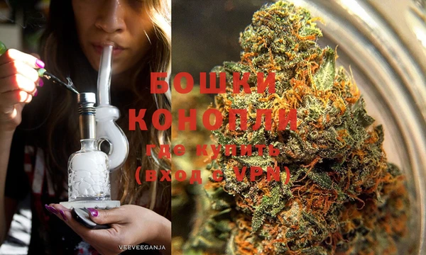прущие грибы Рославль