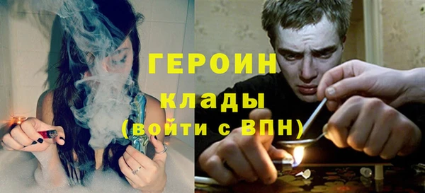 прущие грибы Рославль
