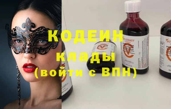 прущие грибы Рославль